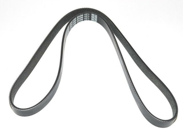 LR060071G - V KAYIŞI (2.2/EVOQUE/DİSCO/5) - Dayco