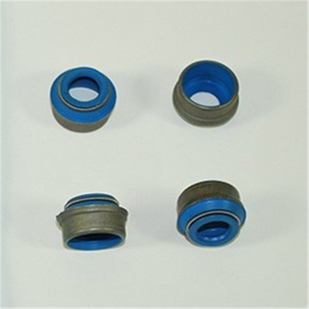 ERR1782 - SİBOP LASTİĞİ (4.6/V8) - V.REİNZ