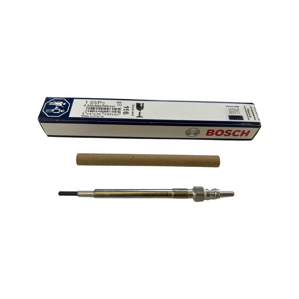 LR013275G - ISITMA BUJİSİ (3.0/4.4/3.0L V6/VOGUE/SPORT) - Bosch