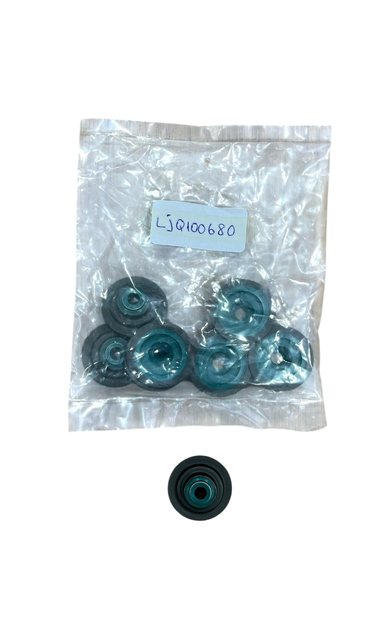 LJQ100680L - SİBOP LASTİĞİ 2.0 TCİ (FREEL.1) - Payen