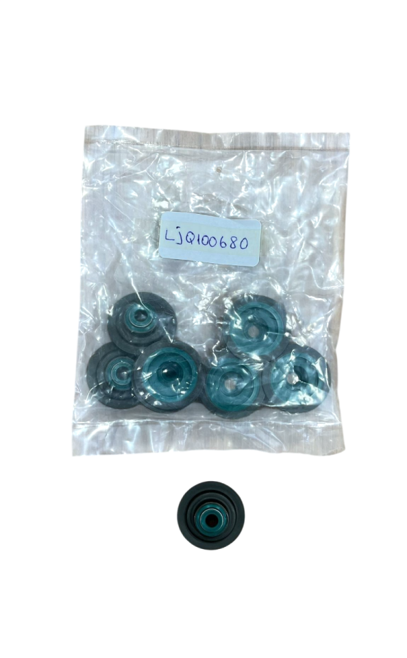 LJQ100680L - SİBOP LASTİĞİ 2.0 TCİ (FREEL.1) - Payen
