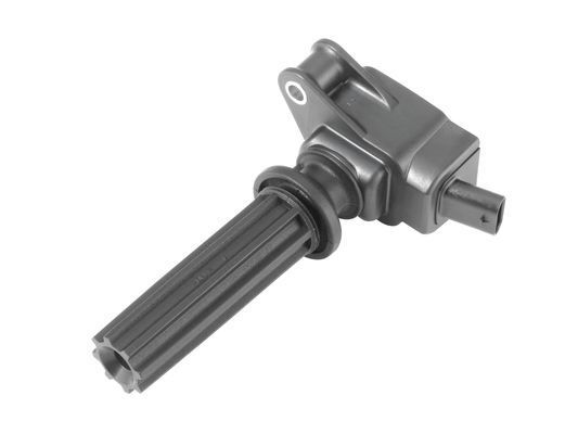 LR084889G - BOBİN (2.0L/EVOQUE/VOGUE/SPORT/DİSC.SPORT) - Bosch