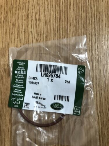 LR095784 - VANUS VALF O RİNG 2.0L - Land Rover