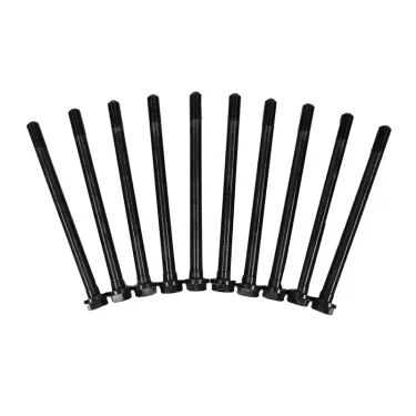 LR075366 - SİLİNDİR KAPAK SAPLAMASI 10'LU SET (2.2) - V.REİNZ