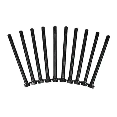 LR075366 - SİLİNDİR KAPAK SAPLAMASI 10'LU SET (2.2) - V.REİNZ