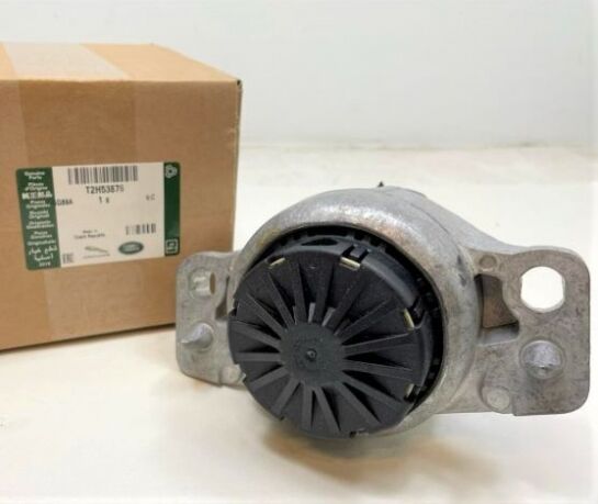 T2H53876 - MOTOR TAKOZU 2.0L DZL (XE/XF) - Jaguar