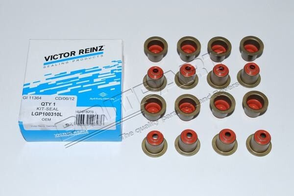 LGP100310L - SİBOP LASTİĞİ TAKIMI (TD4/FREEL.1) - V.REİNZ