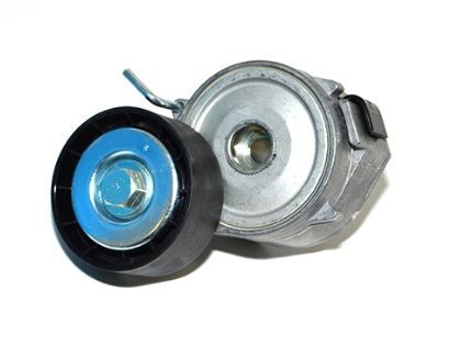 LR003651R - KAYIŞ GERGİSİ 2.2/2.0 (FREEL.2/EVOQUE) - Dayco
