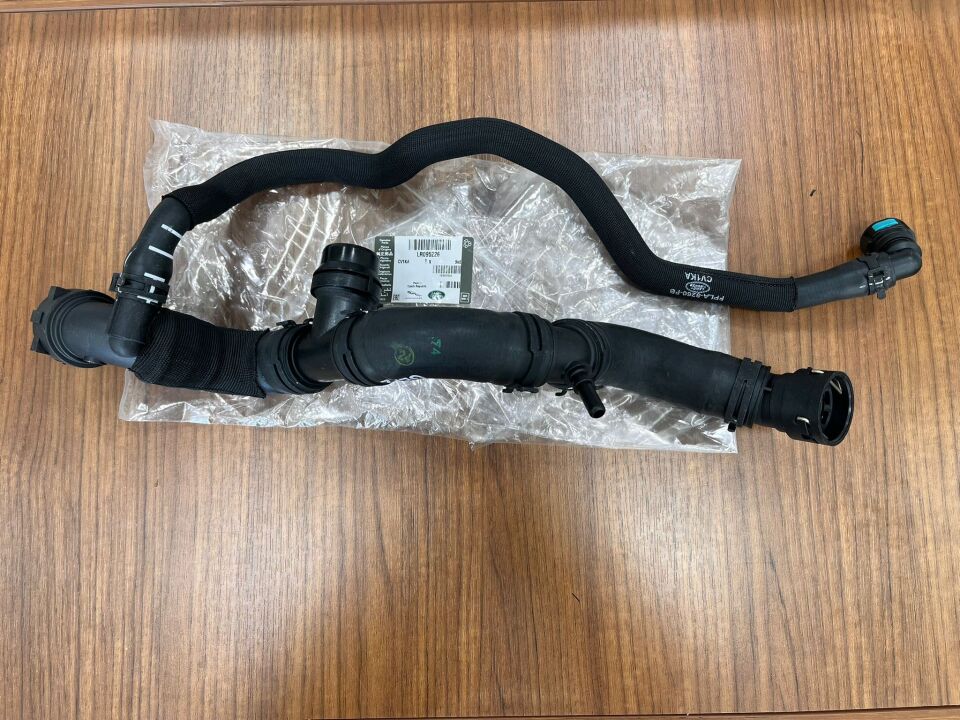 LR095226 - RADYATÖR ÜST HORTUMU (SPORT) - Land Rover