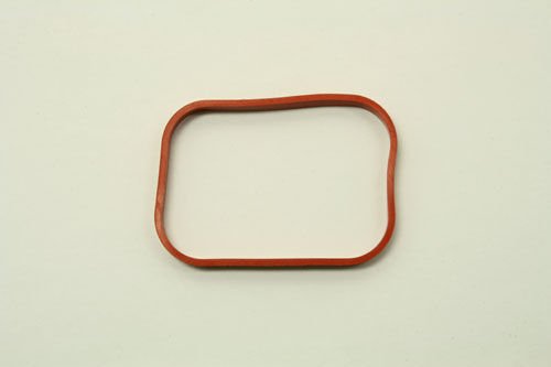 LR024991G - EMME MANİFOLD CONTASI 2.0L BNZ (EVOQUE) - V.REİNZ