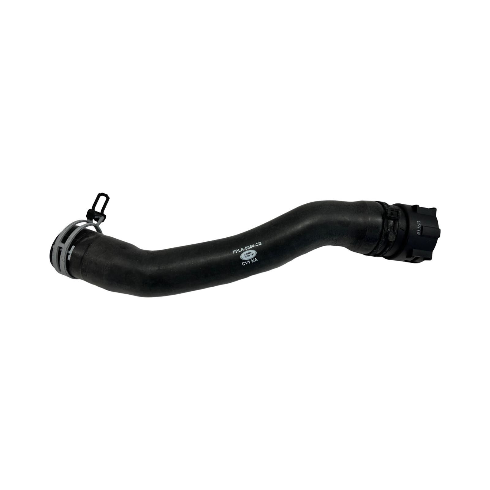 LR078766 - TERMOSTAT HORTUMU (VOGUE/RRS) - Land Rover