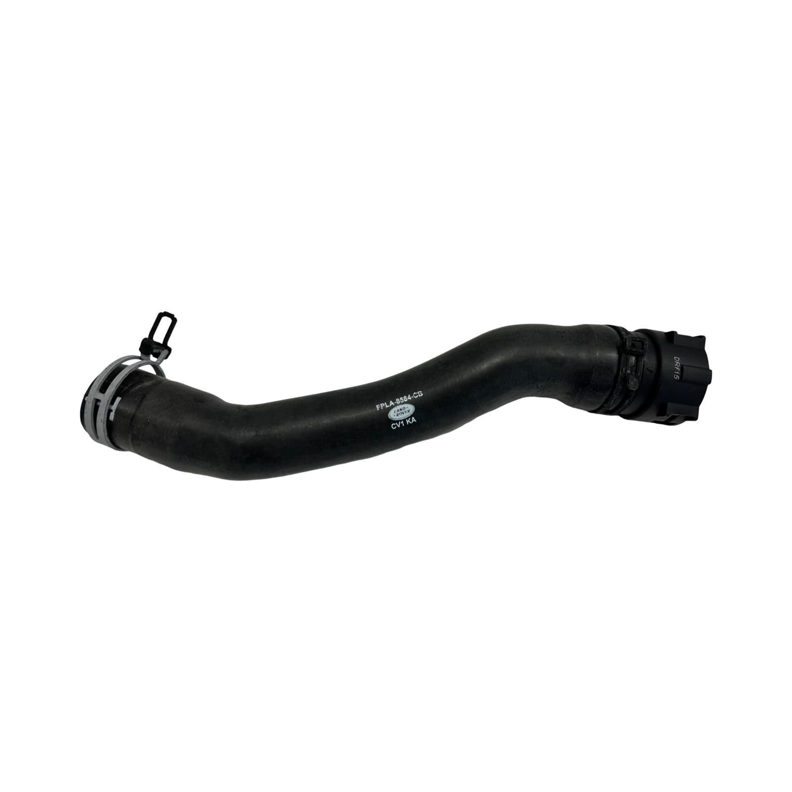 LR078766 - TERMOSTAT HORTUMU (VOGUE/RRS) - Land Rover