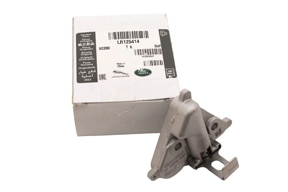 LR125414 - EGZANTİRİK ZİNCİR GERGİSİ  (2.0L/ALL/DİSC.5/VELAR) - Land Rover