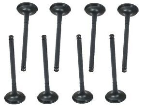 LGH101360L - EGZOST SUBABI (2.5 V6) - Oem