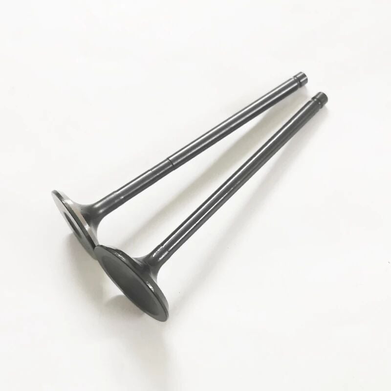 LR025301G - EMME VE EGZOZ SUBAB TAKIMI 2.0 BNZ. (EVOQUE/VOGUE) - Supar