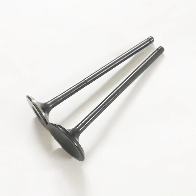 LR025301G - EMME VE EGZOZ SUBAB TAKIMI 2.0 BNZ. (EVOQUE/VOGUE) - Supar